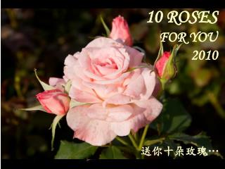 10 ROSES FOR YOU 2010