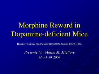Morphine Reward in Dopamine-deficient Mice