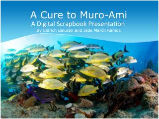 A Cure to Muro-Ami