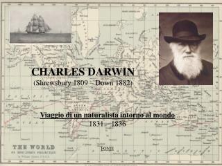 CHARLES DARWIN (Shrewsbury 1809 – Down 1882)