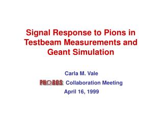 Signal Response to Pions in Testbeam Measurements and Geant Simulation
