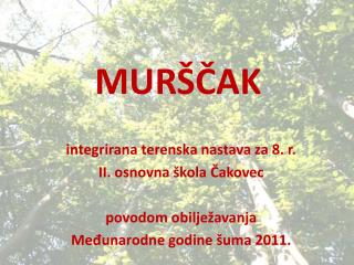 MURŠČAK