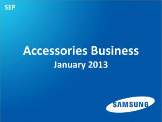 Accessories Business January 2013