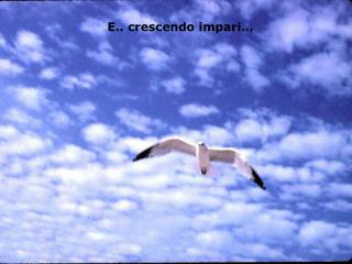 E.. crescendo impari…