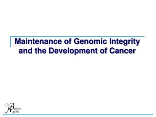 Maintenance of Genomic Integrity and the Development of Cancer