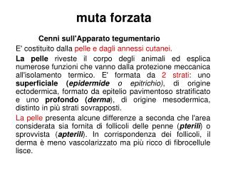 muta forzata