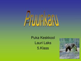 Puka Keskkool Lauri Laks 5.Klass