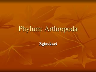 Phylum: Arthropoda