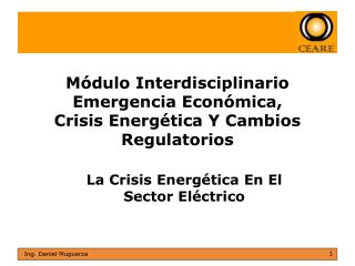 Módulo Interdisciplinario Emergencia Económica, Crisis Energética Y Cambios Regulatorios