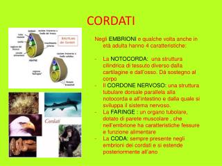 CORDATI