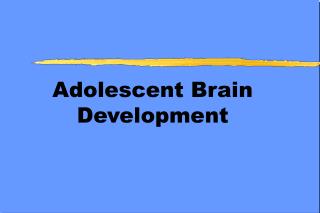 Adolescent Brain Development