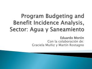 Program Budgeting and Benefit Incidence Analysis, Sector: Agua y Saneamiento