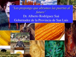 GOBIERNO DE LA PROVINCIA DE SAN LUIS Programa Producción Agropecuaria, Minería y Agua