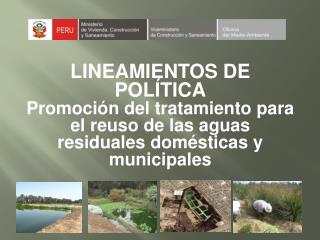 LINEAMIENTOS DE POLÍTICA