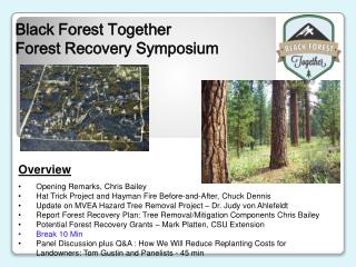 Black Forest Together Forest Recovery Symposium