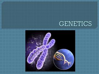 GENETICS