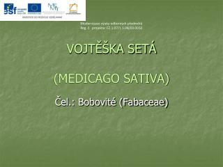 VOJTĚŠKA SETÁ (MEDICAGO SATIVA)