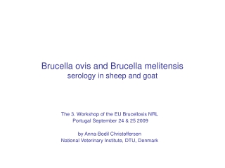 Brucella ovis and Brucella melitensis serology in sheep and goat