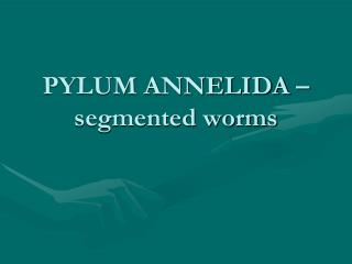 PYLUM ANNELIDA – segmented worms