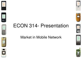 ECON 314- Presentation