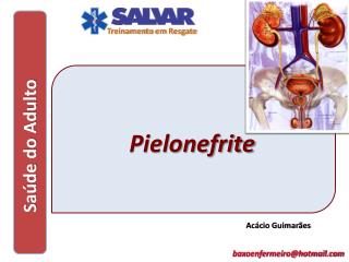 Pielonefrite