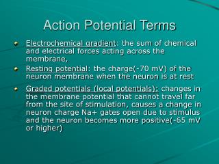 Action Potential Terms