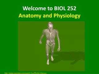 Welcome to BIOL 252 Anatomy and Physiology