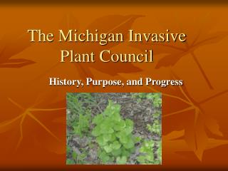 The Michigan Invasive Plant Council