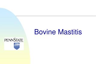 Bovine Mastitis