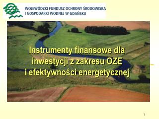 Instrumenty finansowe dla inwestycji z zakresu OZE i efektywności energetycznej