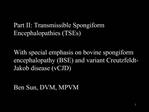 Part II: Transmissible Spongiform Encephalopathies TSEs With special emphasis on bovine spongiform encephalopathy BSE