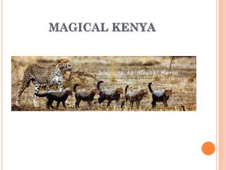 MAGICAL KENYA