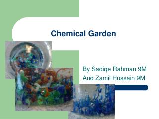 Chemical Garden