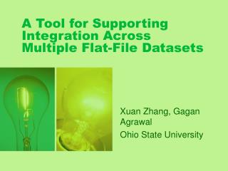 A Tool for Supporting Integration Across Multiple Flat-File Datasets