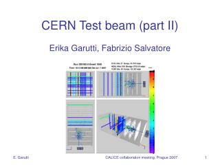 CERN Test beam (part II) Erika Garutti, Fabrizio Salvatore