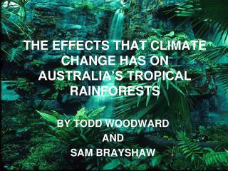 THE EFFECTS THAT CLIMATE CHANGE HAS ON AUSTRALIA’S TROPICAL RAINFORESTS
