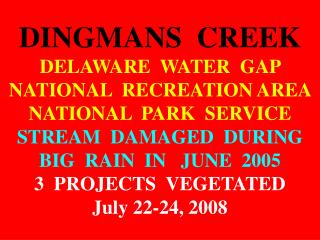 DINGMANS CREEK LET’S VEGETATE THE MEGA-SLIDE SITE