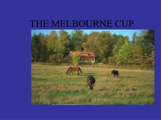 THE MELBOURNE CUP