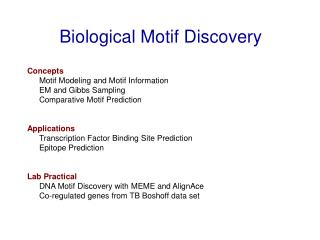 Biological Motif Discovery