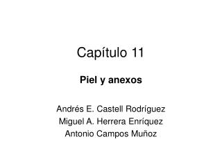 Capítulo 11