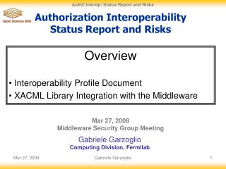 Authorization Interoperability Status Report and Risks