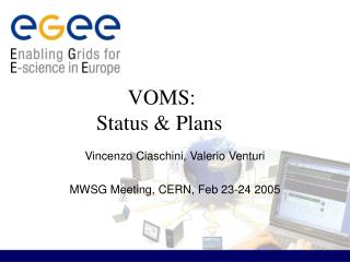VOMS: Status &amp; Plans