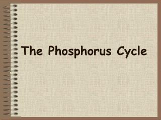 The Phosphorus Cycle