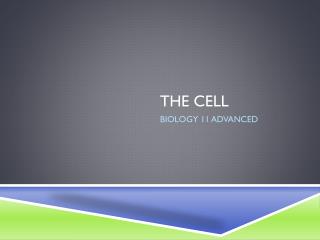 The cell