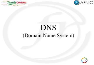 DNS (Domain Name System)