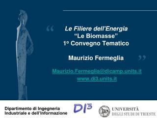 Le Filiere dell'Energia “Le Biomasse” 1 o Convegno Tematico Maurizio Fermeglia