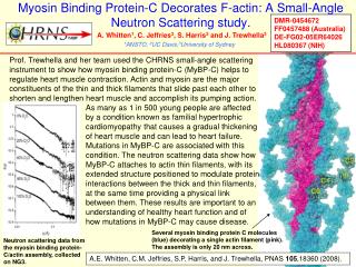 Myosin Binding Protein-C Decorates F-actin: A Small-Angle Neutron Scattering study.