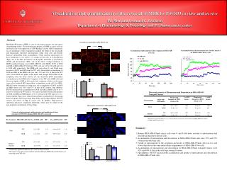 Visualization and quantification of the reversal of MDR by PSC833 in vitro and in vivo
