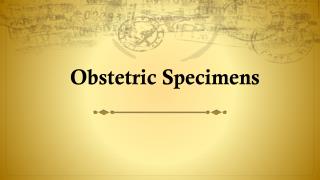 Obstetric Specimens