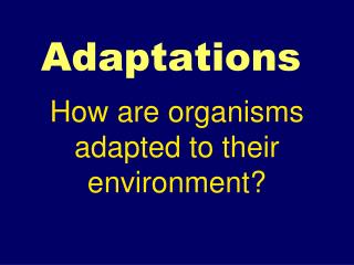 Adaptations